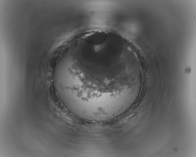 X0000094171399200710261058