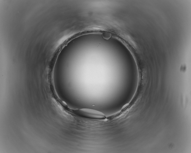 X0000094171404200710261058