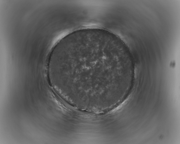 X0000094171405200710261058