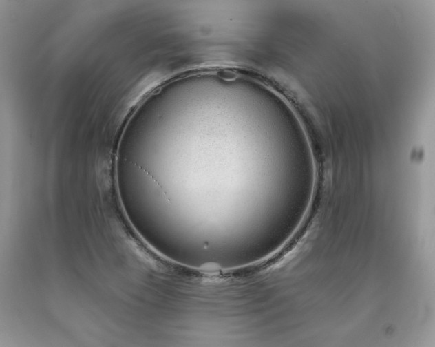 X0000094171409200710261058