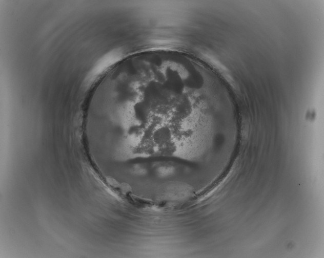 X0000094171411200710261058
