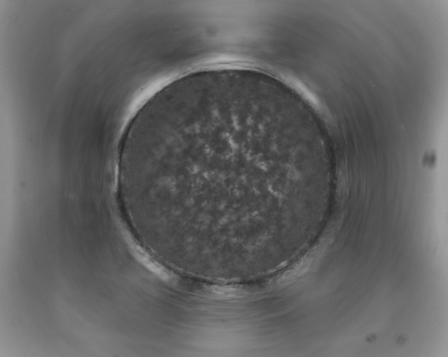 X0000094171413200710261058