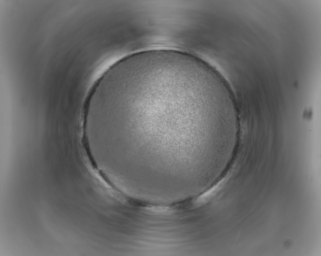 X0000094171415200710261058