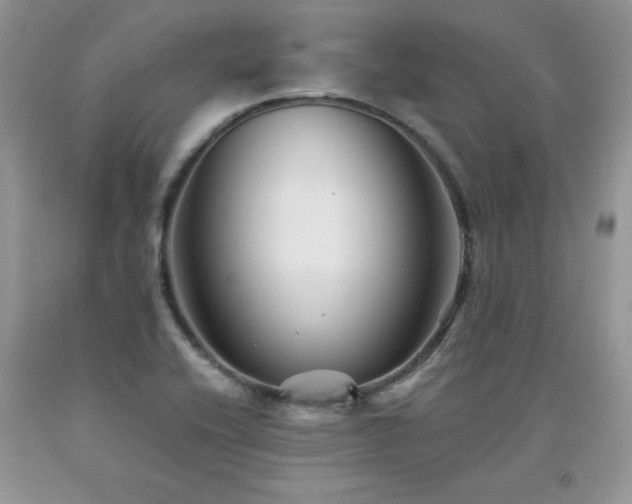 X0000094171416200710261058
