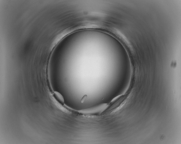 X0000094171417200710261058