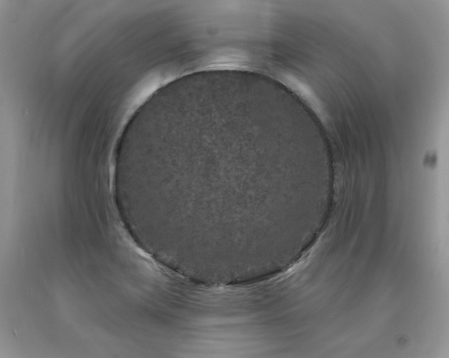 X0000094171419200710261058