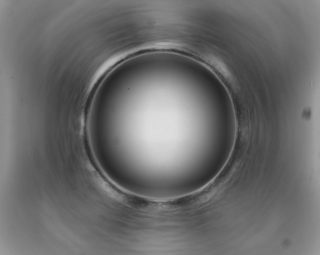 X0000094171420200710261058