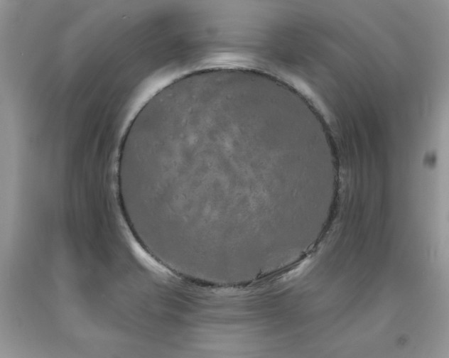 X0000094171421200710261058