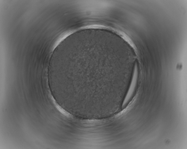 X0000094171425200710261058