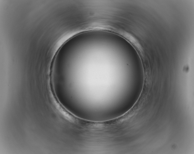 X0000094171431200710261058