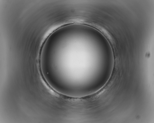 X0000094171432200710261059
