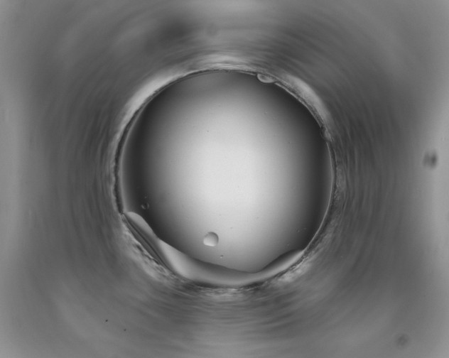 X0000094171435200710261059
