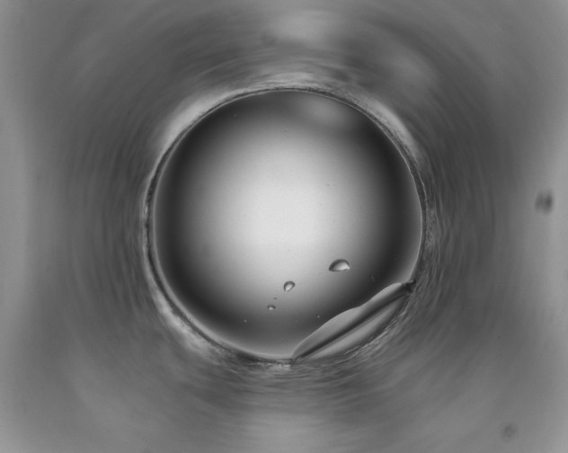 X0000094171439200710261059