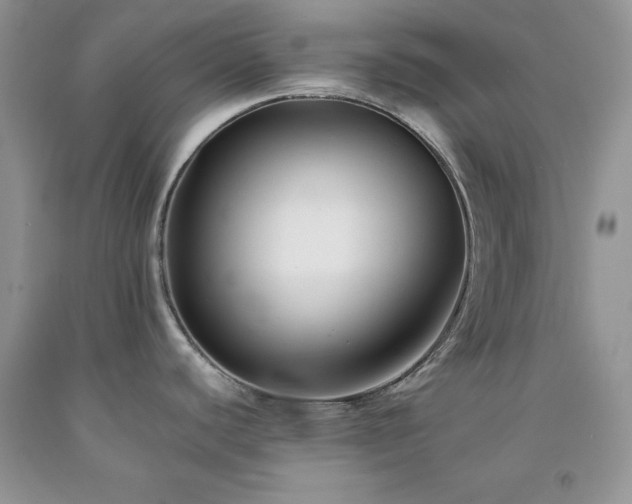 X0000094171440200710261059
