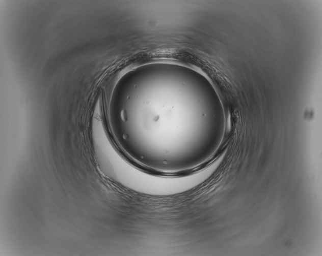 X0000094171441200710261058
