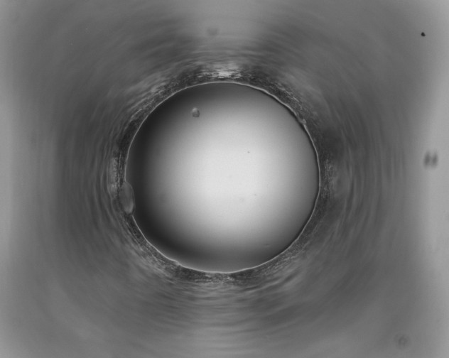X0000094171442200710261058