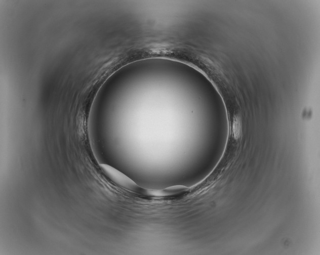 X0000094171444200710261058
