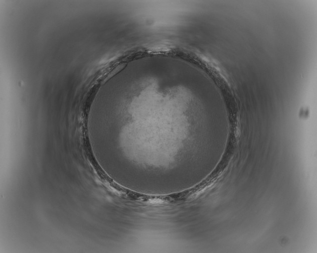 X0000094171445200710261058