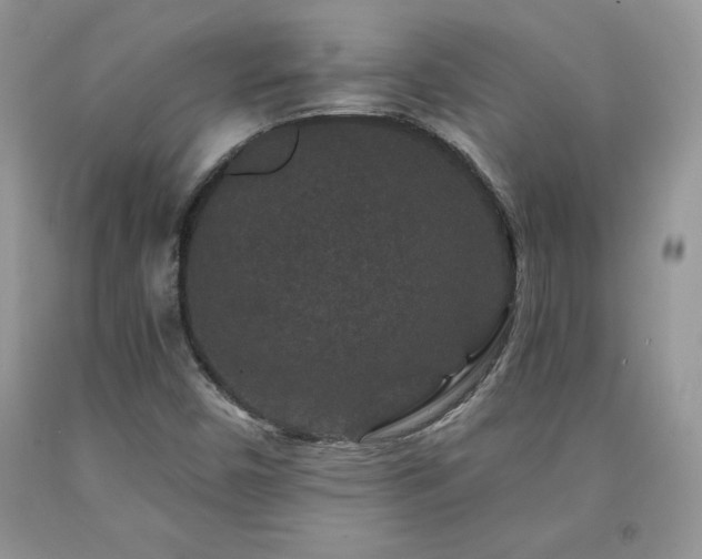 X0000094171450200710261058