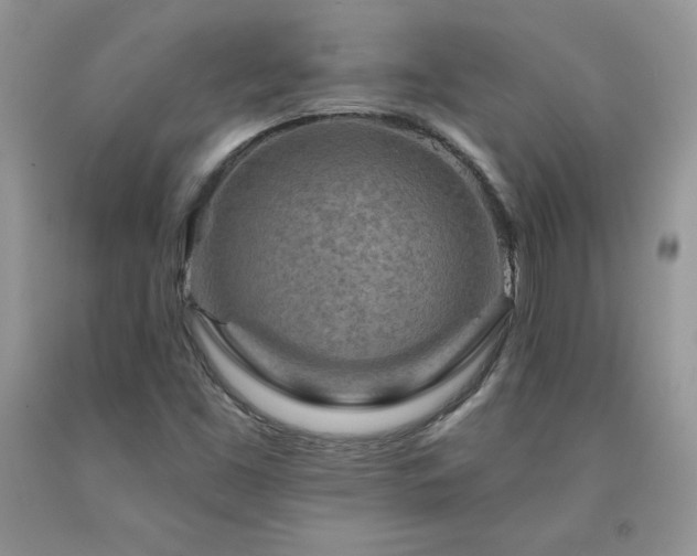 X0000094171453200710261058