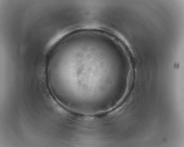 X0000094171456200710261058