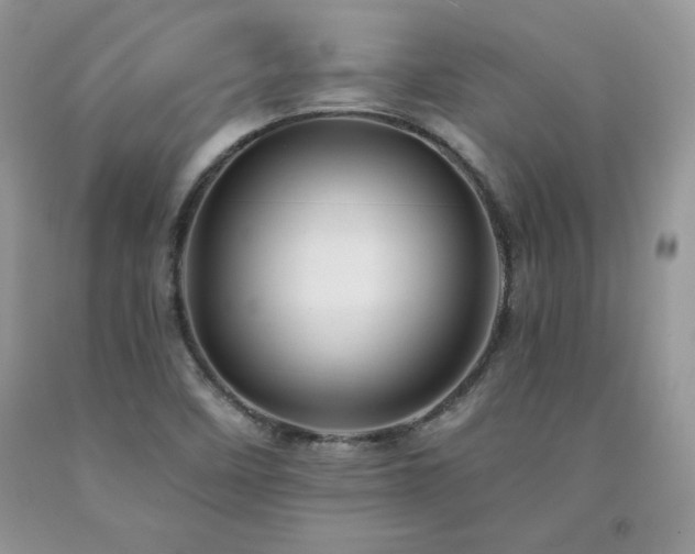 X0000094171458200710261058