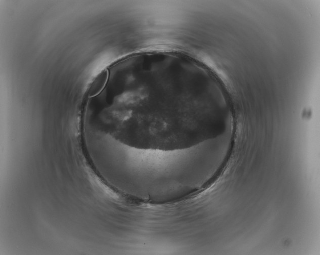 X0000094171459200710261058