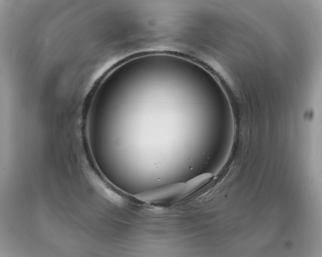 X0000094171460200710261058