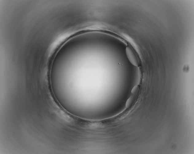 X0000094171464200710261058