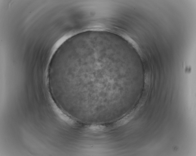 X0000094171466200710261058