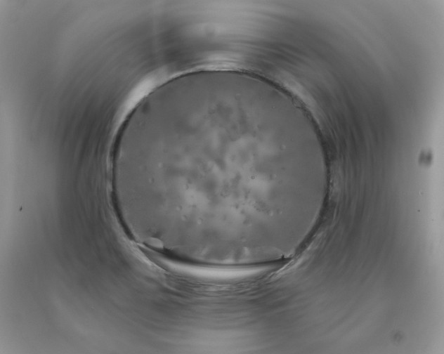 X0000094171467200710261058