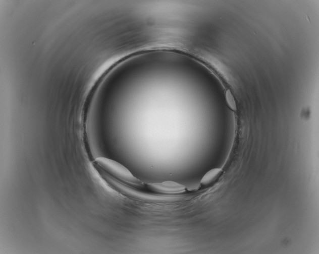 X0000094171468200710261058