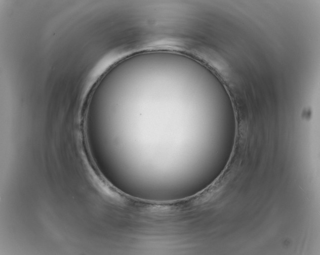 X0000094171470200710261058