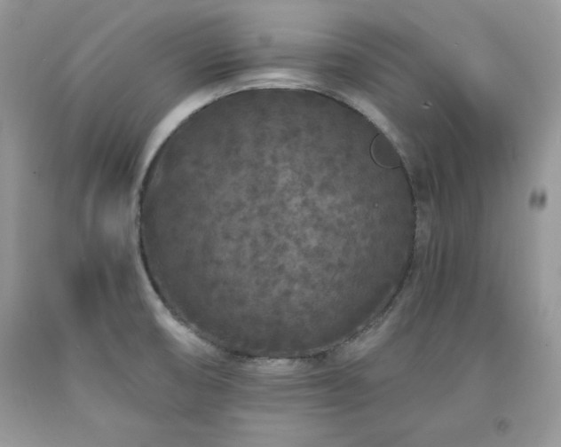 X0000094171474200710261057