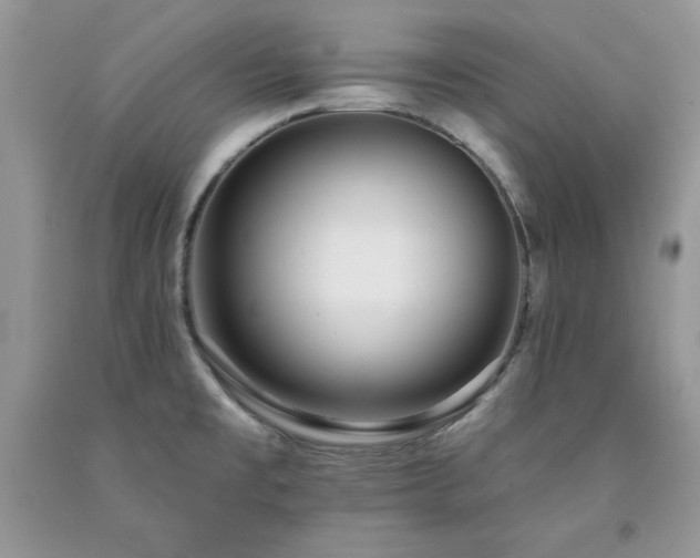 X0000094171477200710261057