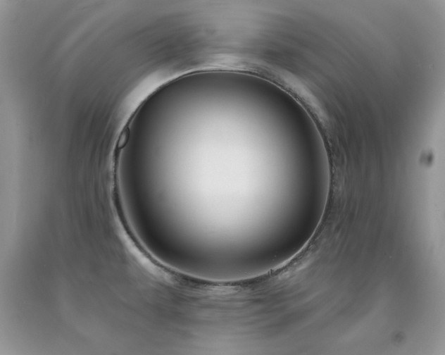 X0000094171479200710261057