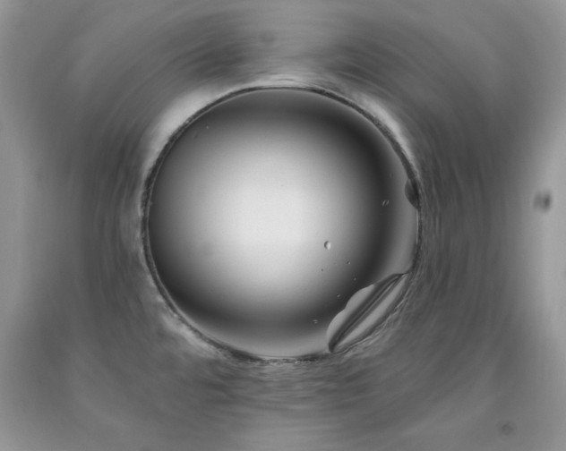 X0000094171480200710261057