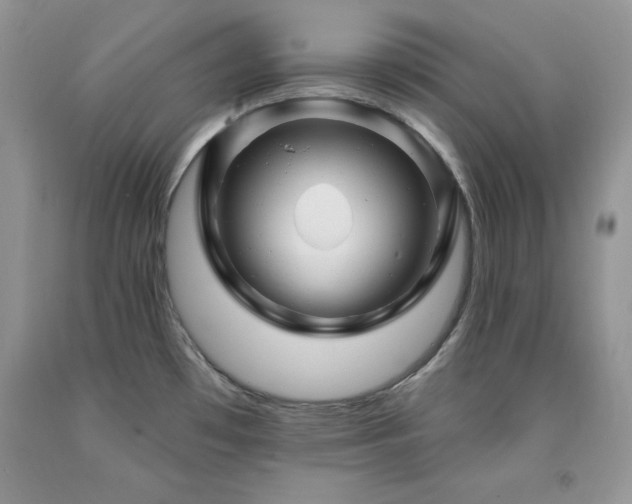 X0000094171481200710261057