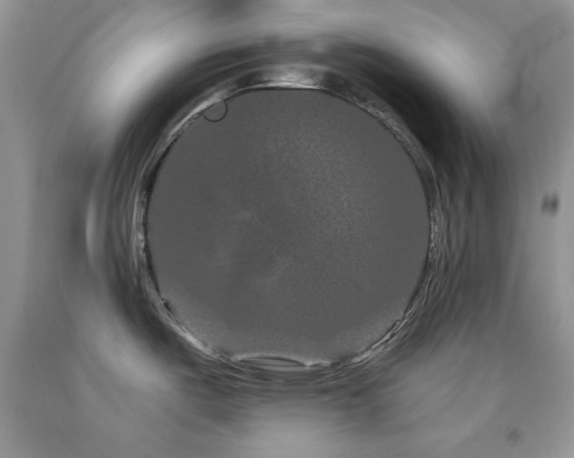 X0000094171487200710261057