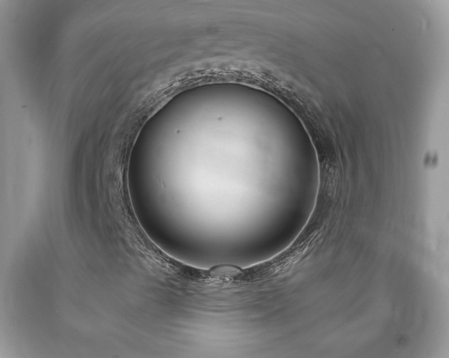 X0000094171489200710261057