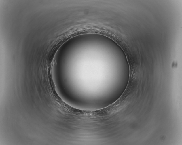 X0000094171490200710261057