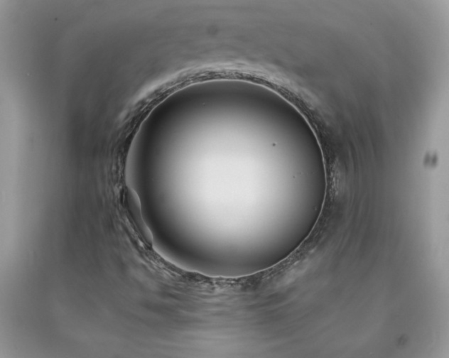 X0000094171494200710261057