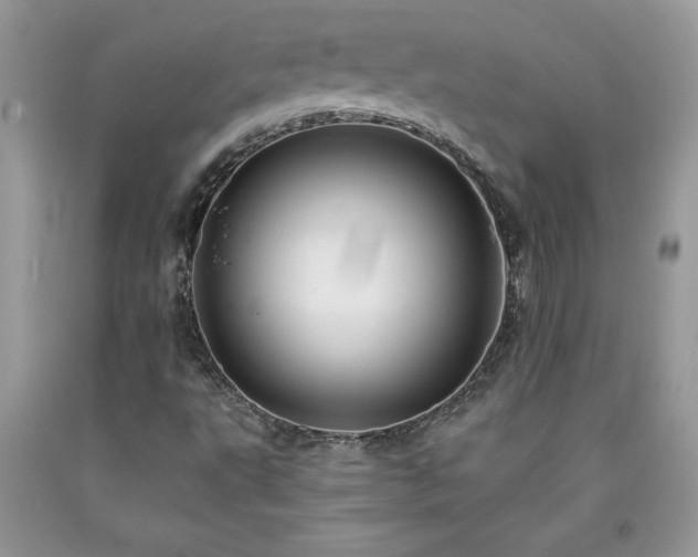 X0000094171495200710261057