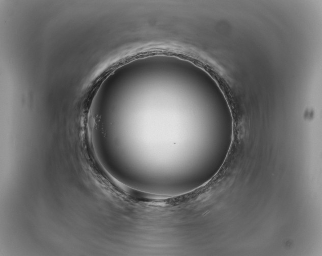 X0000094171496200710261057