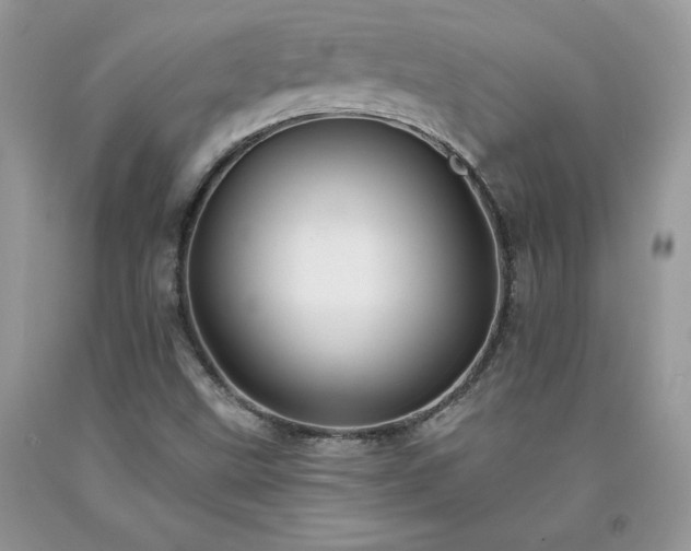 X0000094171499200710261057