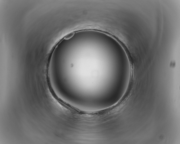 X0000094171500200710261057