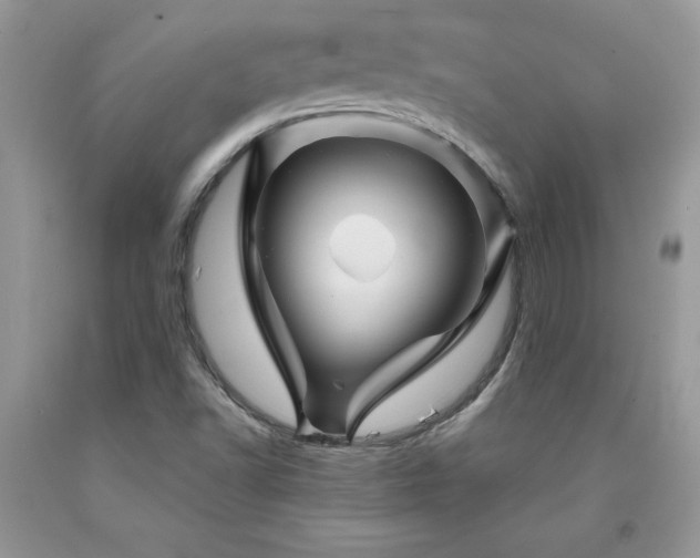 X0000094171502200710261057