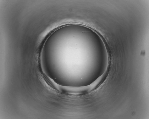 X0000094171503200710261057