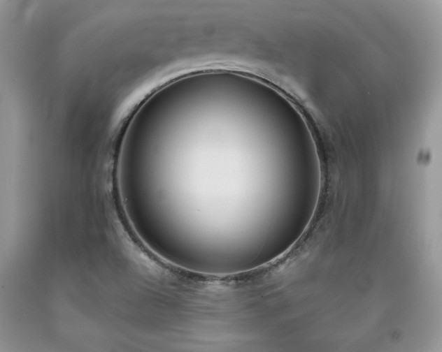 X0000094171504200710261057