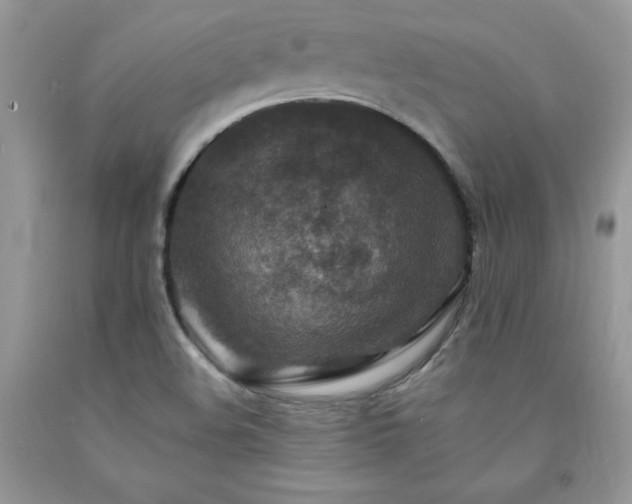 X0000094171508200710261057